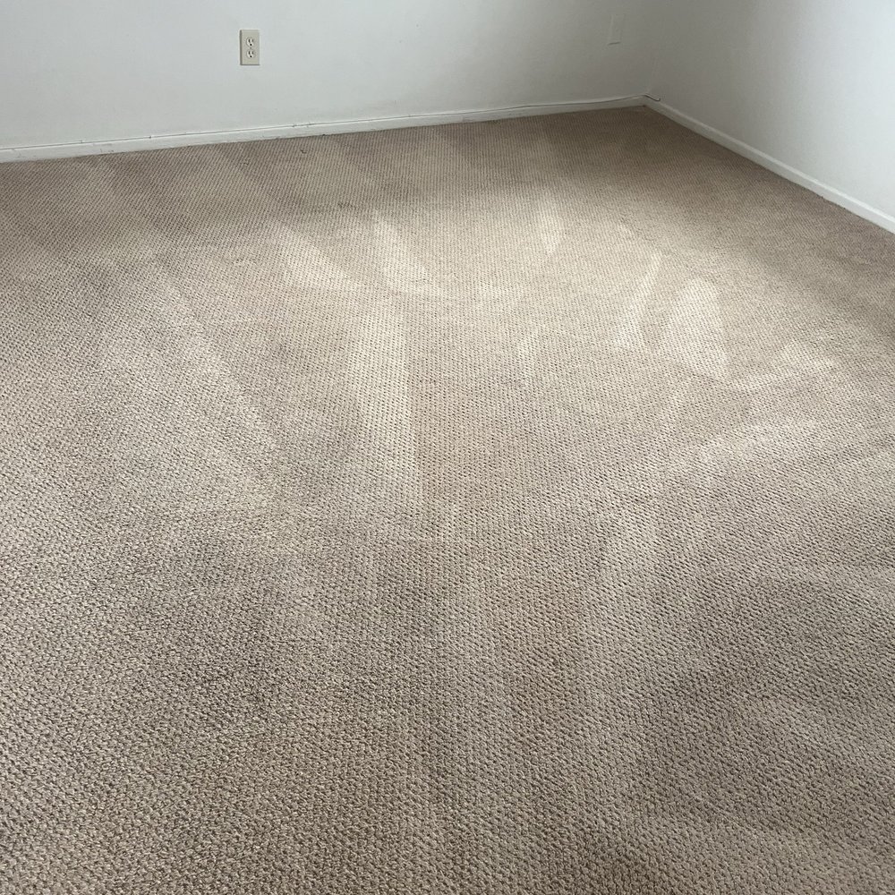 OC Carpet Cleaning Pro - Carpet Cleaning Near Me OC Carpet Cleaning Pro - Carpet Cleaning Near Me