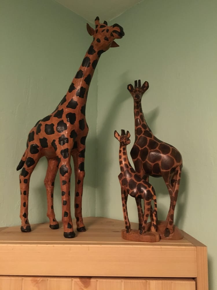 Laughing Giraffe Therapy - patient advocate in San Jose, CA