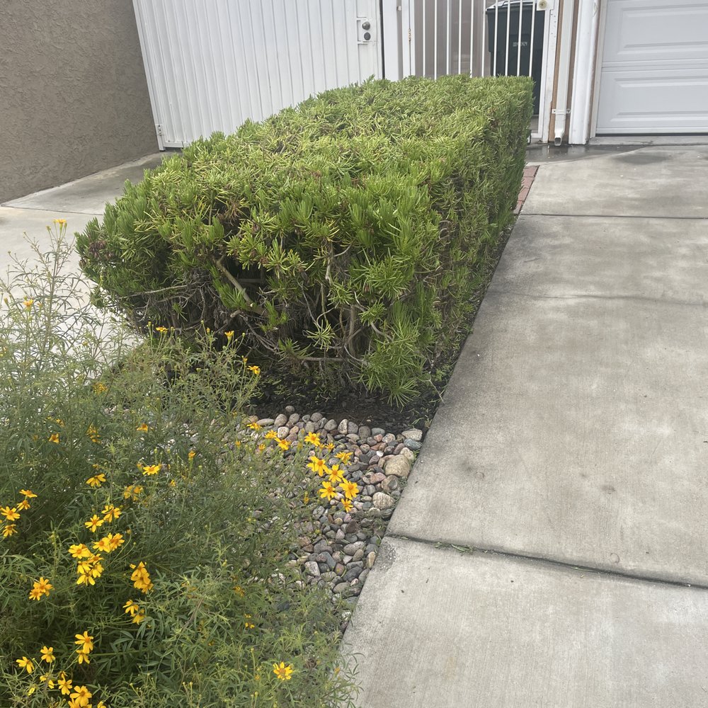 Betancourt Landscaping - Landscaping Near Me Betancourt Landscaping - Landscaping Near Me