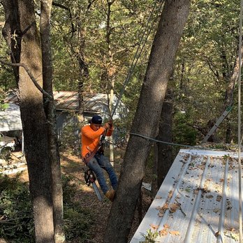 Perez Tree Service - Tree removal - Tree Services Near Me Perez Tree Service - Tree removal - Tree Services Near Me