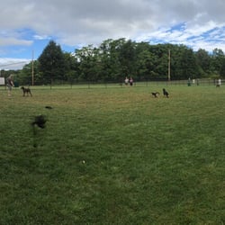 Reynold's Dog Park - Pano