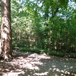 Bois De Dieleghem