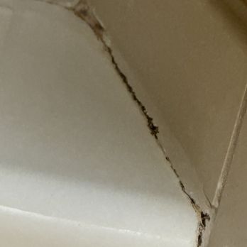 Harrah's Laughlin - A Caesars Rewards Destination - The mold was so thick you could almost see it moving... - Hotels Near Me - Laughlin, Nevada