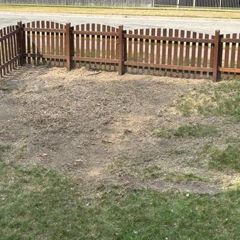 Mark's Tree Service - Finished - Tree Services Near Me - Mchenry, Illinois