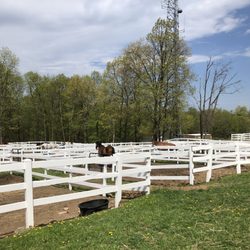 Saddle Ridge Riding Center