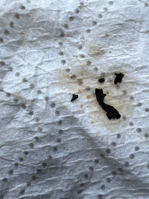 Golden Era by null Golden Era by null