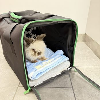 Heal Veterinary Clinic - Veterinarians Near Me - Chicago, Illinois Heal Veterinary Clinic - Veterinarians Near Me - Chicago, Illinois