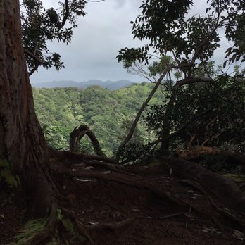 Aiea Loop Trail - Hiking Near Me - Aiea, Hawaii