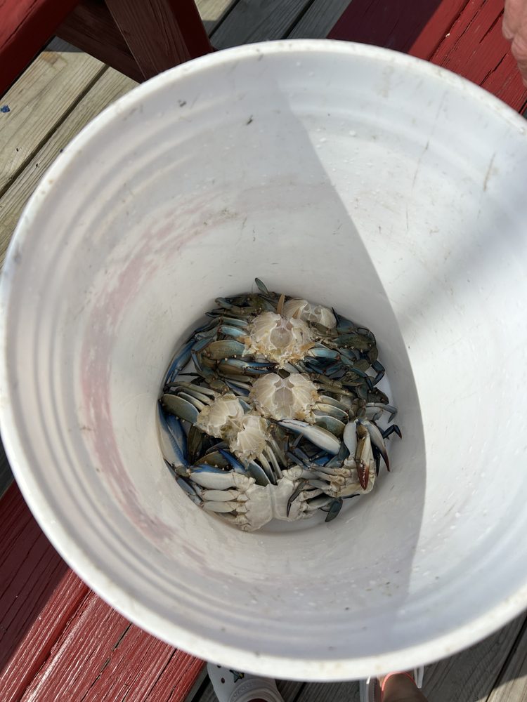 WHALE CREEK MARINA Updated September 2024 15 Photos & 18 Reviews