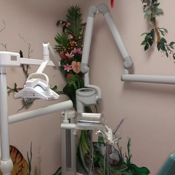 ABC Children's Dental - The Jungle Room - Pediatric Dentists Near Me - Orange, California ABC Children's Dental - The Jungle Room - Pediatric Dentists Near Me - Orange, California