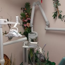 ABC Children's Dental - The Jungle Room