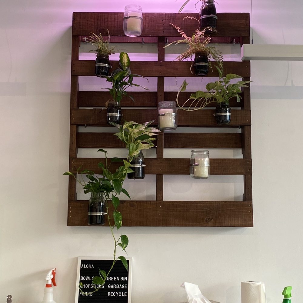 Umami Poke - Simple but nice decor. - Hawaiian Near Me - Toronto, Ontario Umami Poke - Simple but nice decor. - Hawaiian Near Me - Toronto, Ontario