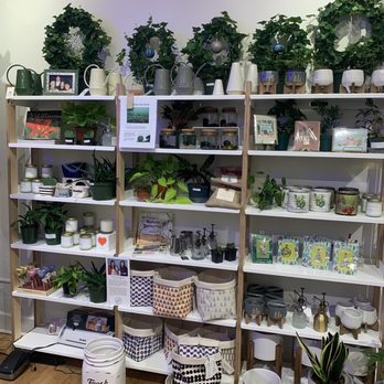 Mason Jar Plant Shop - Nurseries & Gardening Near Me - Kalamazoo, Michigan Mason Jar Plant Shop - Nurseries & Gardening Near Me - Kalamazoo, Michigan