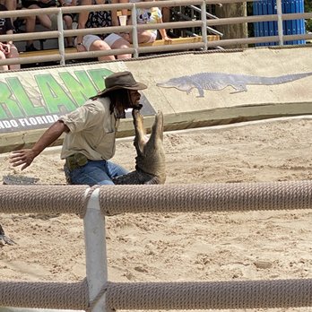 Gatorland - One of their shows - Zoos Near Me - Orlando, Florida Gatorland - One of their shows - Zoos Near Me - Orlando, Florida