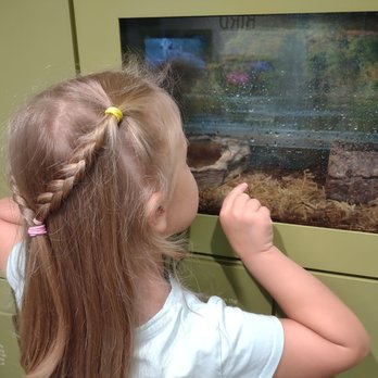 Witte Museum - Museums Near Me - San Antonio, Texas Witte Museum - Museums Near Me - San Antonio, Texas