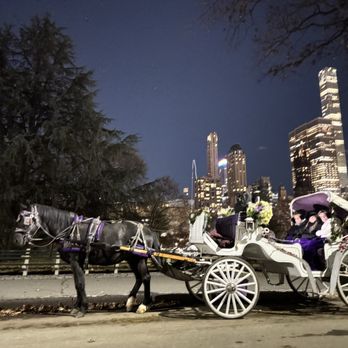 Central Park Carriage Tours - Tours Near Me - New York, New York Central Park Carriage Tours - Tours Near Me - New York, New York