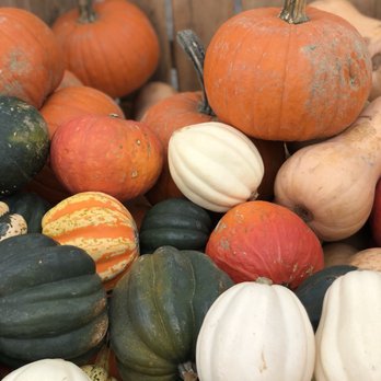 Bloomfield Saturday Market - Farmers Market Near Me - Pittsburgh, Pennsylvania