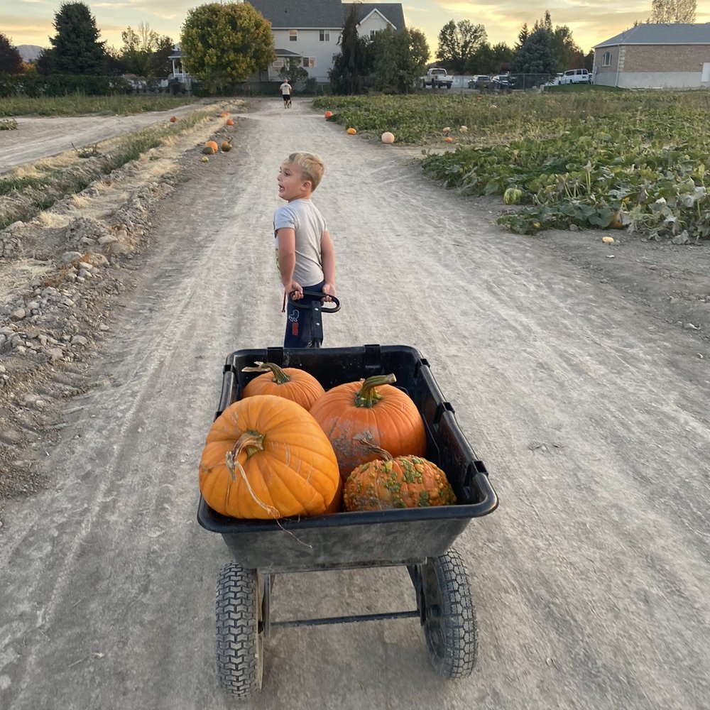 Mabey’s Pumpkin Patch - Pumpkin Patches Near Me - South Jordan, Utah Mabey’s Pumpkin Patch - Pumpkin Patches Near Me - South Jordan, Utah