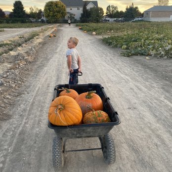 Mabey’s Pumpkin Patch - Pumpkin Patches Near Me - South Jordan, Utah