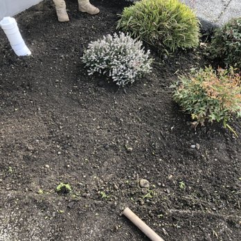 Los Chapis Services - Almost there - Tree Services Near Me