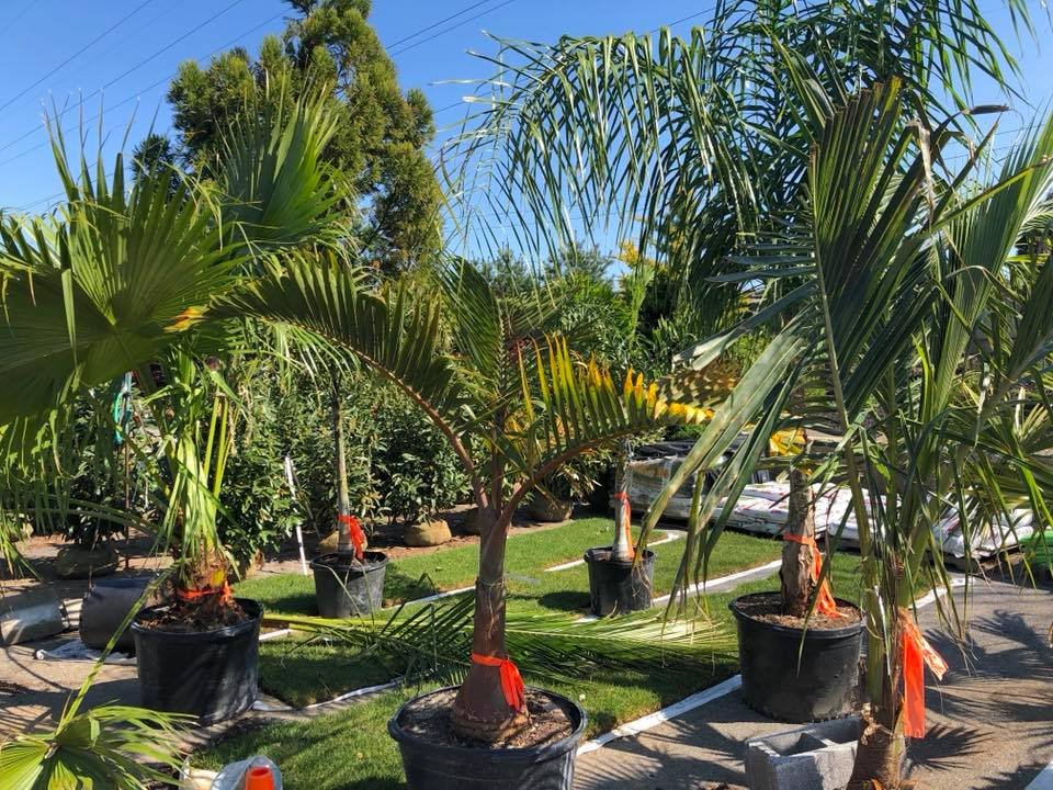 Black Landscape Contracting - tree service in Mechanicsburg, PA