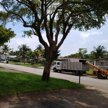 Caribbean Tree Service - Tree Services Near Me Caribbean Tree Service - Tree Services Near Me