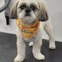Photo of Zoomin Groomin - Chesterfield