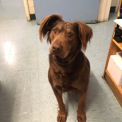 Willows Veterinary Clinic - Just working at the vet today