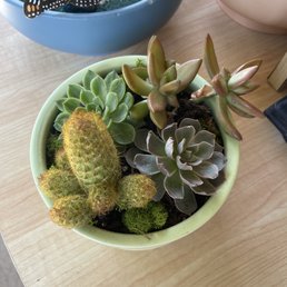 Example terrarium