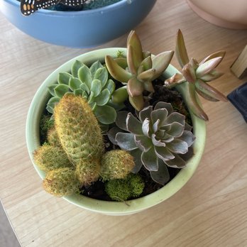 Jade & Clover - Example terrarium - Nurseries & Gardening Near Me - Phoenix, Arizona