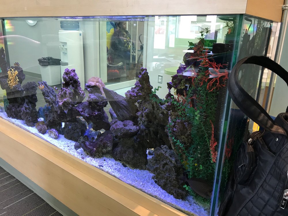 CHILDREN’S DENTAL WORLD Updated September 2024 61592 Regent Avenue