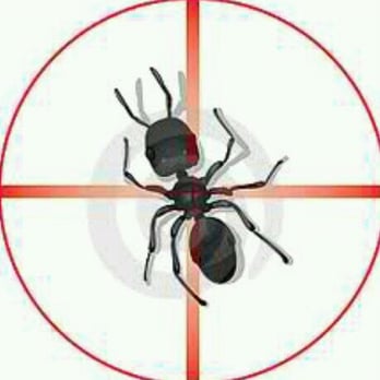 Target Pest Control - Pest Control Near Me - Salinas, California