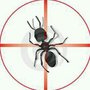 Photo of Target Pest Control