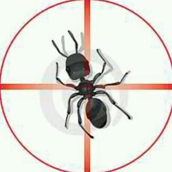 Target Pest Control