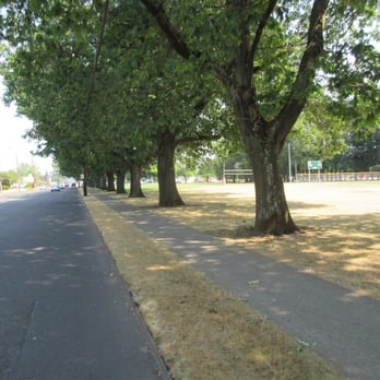 Lents Park - 20 Oaks in a row... - Parks Near Me - Portland, Oregon Lents Park - 20 Oaks in a row... - Parks Near Me - Portland, Oregon