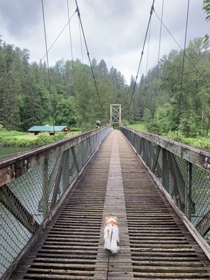 Tolt-MacDonald Park & Campground by null