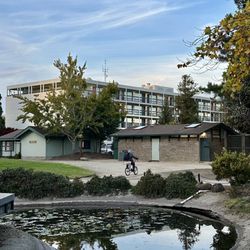 San Lorenzo Park