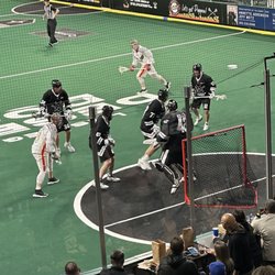 Las Vegas Desert Dogs