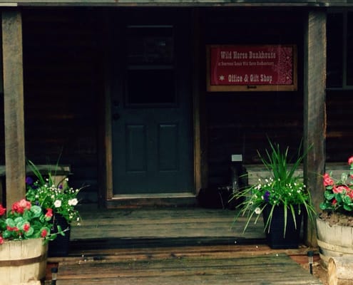 Deerwood Ranch Wild Horse EcoSanctuary by null