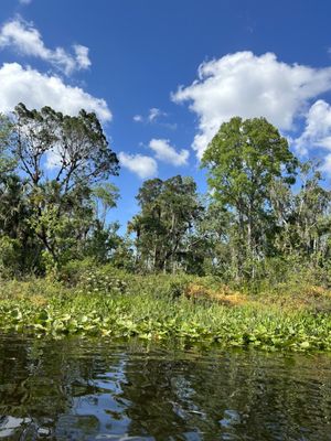 Canoe Outpost-Little Manatee River by null
