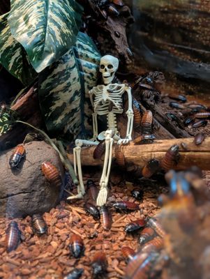 Liberty Science Center by null