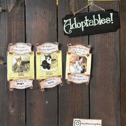 Seattle Meowtropolitan