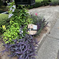 United States Postal Service - Roswell Postal Store - NOT an amazon delivery, but poor USPS delivery.  Broke off our plants & flowers.