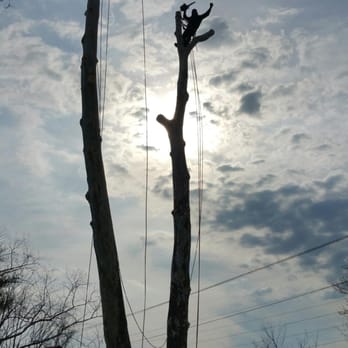 Ace's Tree Service - Job in Aquia Harbor this week! Very happy customer! - Tree Services Near Me