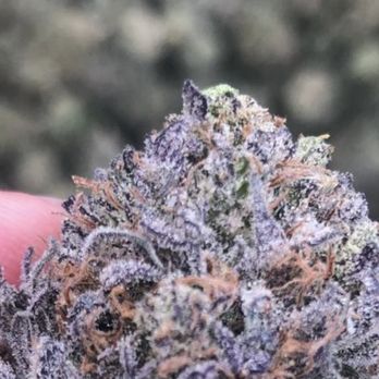 Grateful Living Cannabis - Cannabis Clinics Near Me - Silver City, New Mexico Grateful Living Cannabis - Cannabis Clinics Near Me - Silver City, New Mexico