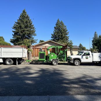 Lemur Tree Aid - Ready for emergency calls. Ready set go!!! - Tree Services Near Me Lemur Tree Aid - Ready for emergency calls. Ready set go!!! - Tree Services Near Me