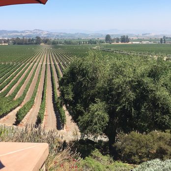 Gloria Ferrer Winery - Wineries Near Me - Sonoma, California