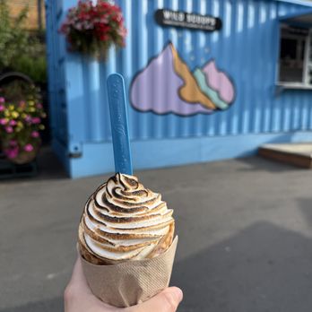 Wild Scoops - one of the vegan flavors with fired coconut whipped cream, "baked alaska style" - Ice Cream & Frozen Yogurt Near Me - Anchorage, Alaska