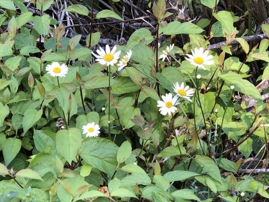 Saint Mary Visitor Center by null