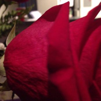 Arden Park - Florists Near Me - Sacramento, California